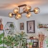 Ripoll Plafondlamp, Kogellampje Amber, Duidelijk, Rookkleurig, 8-lichts