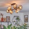 Ripoll Plafondlamp, Kogellampje Amber, Duidelijk, Rookkleurig, 8-lichts