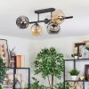 Ripoll Plafondlamp, Kogellampje Amber, Duidelijk, Rookkleurig, 5-lichts