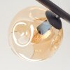 Ripoll Plafondlamp, Kogellampje Amber, 5-lichts