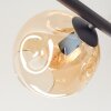 Ripoll Plafondlamp, Kogellampje Amber, Rookkleurig, 5-lichts
