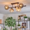 Ripoll Plafondlamp, Kogellampje Amber, Duidelijk, Rookkleurig, 5-lichts