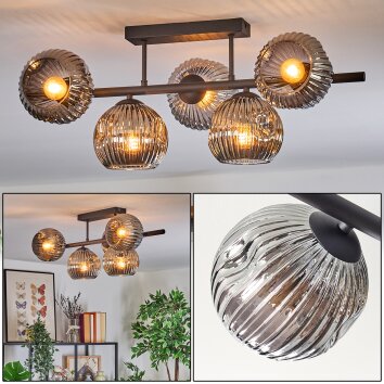 Ripoll Plafondlamp, Kogellampje Rookkleurig, 5-lichts