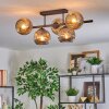Ripoll Plafondlamp, Kogellampje Amber, Rookkleurig, 5-lichts