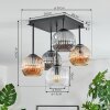 Ripoll Plafondlamp, Kogellampje Amber, Duidelijk, Rookkleurig, 5-lichts