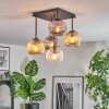 Ripoll Plafondlamp, Kogellampje Amber, Duidelijk, Rookkleurig, 5-lichts