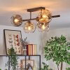 Ripoll Plafondlamp, Kogellampje Amber, Duidelijk, Rookkleurig, 5-lichts