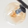 Ripoll Plafondlamp, Kogellampje Amber, Duidelijk, Rookkleurig, 5-lichts