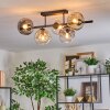 Ripoll Plafondlamp, Kogellampje Amber, Duidelijk, Rookkleurig, 5-lichts