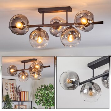 Ripoll Plafondlamp, Kogellampje Duidelijk, Rookkleurig, 5-lichts