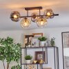 Ripoll Plafondlamp, Kogellampje Amber, Duidelijk, Rookkleurig, 5-lichts