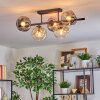 Ripoll Plafondlamp, Kogellampje Amber, Duidelijk, Rookkleurig, 5-lichts