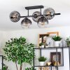 Koyoto Plafondlamp, Kogellampje Duidelijk, Rookkleurig, 5-lichts