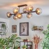 Koyoto Plafondlamp, Kogellampje Duidelijk, Rookkleurig, 8-lichts