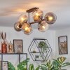 Koyoto Plafondlamp, Kogellampje Duidelijk, Rookkleurig, 8-lichts