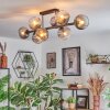 Koyoto Plafondlamp, Kogellampje Duidelijk, Rookkleurig, 8-lichts