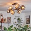 Ripoll Plafondlamp, Kogellampje Duidelijk, Rookkleurig, 8-lichts