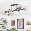 Ripoll Plafondlamp, Kogellampje Amber, Duidelijk, Rookkleurig, 8-lichts