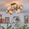 Ripoll Plafondlamp, Kogellampje Amber, Duidelijk, Rookkleurig, 8-lichts