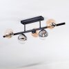 Chehalis Plafondlamp, Kogellampje Amber, Duidelijk, Rookkleurig, 5-lichts