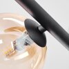Chehalis Plafondlamp, Kogellampje Amber, Duidelijk, Rookkleurig, 5-lichts