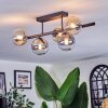 Chehalis Plafondlamp, Kogellampje Amber, Duidelijk, Rookkleurig, 5-lichts