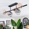 Chehalis Plafondlamp, Kogellampje Amber, Duidelijk, Rookkleurig, 5-lichts