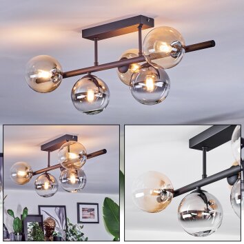 Chehalis Plafondlamp, Kogellampje Amber, Duidelijk, Rookkleurig, 5-lichts