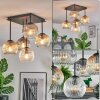 Ripoll Plafondlamp, Kogellampje Amber, Duidelijk, Rookkleurig, 5-lichts