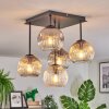 Ripoll Plafondlamp, Kogellampje Amber, Duidelijk, Rookkleurig, 5-lichts