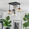 Ripoll Plafondlamp, Kogellampje Amber, Duidelijk, Rookkleurig, 5-lichts