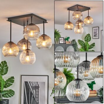 Ripoll Plafondlamp, Kogellampje Amber, Duidelijk, Rookkleurig, 5-lichts