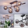 Chehalis Plafondlamp, Kogellampje Rookkleurig, 5-lichts