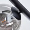 Chehalis Plafondlamp, Kogellampje Rookkleurig, 5-lichts