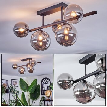 Chehalis Plafondlamp, Kogellampje Rookkleurig, 5-lichts