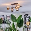 Chehalis Plafondlamp, Kogellampje Amber, Rookkleurig, 5-lichts