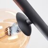 Chehalis Plafondlamp, Kogellampje Amber, Rookkleurig, 5-lichts