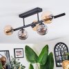 Chehalis Plafondlamp, Kogellampje Amber, Rookkleurig, 5-lichts