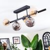 Chehalis Plafondlamp, Kogellampje Amber, Rookkleurig, 5-lichts