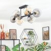 Koyoto Plafondlamp, Kogellampje Amber, Duidelijk, Rookkleurig, 8-lichts