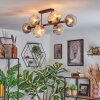 Koyoto Plafondlamp, Kogellampje Amber, Duidelijk, Rookkleurig, 8-lichts