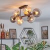 Koyoto Plafondlamp, Kogellampje Amber, Duidelijk, Rookkleurig, 8-lichts