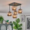 Ripoll Plafondlamp, Kogellampje Rookkleurig, 5-lichts