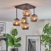 Ripoll Plafondlamp, Kogellampje Rookkleurig, 5-lichts