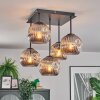 Ripoll Plafondlamp, Kogellampje Rookkleurig, 5-lichts