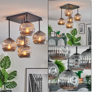 Ripoll Plafondlamp, Kogellampje Rookkleurig, 5-lichts