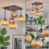 Ripoll Plafondlamp, Kogellampje Amber, Rookkleurig, 5-lichts