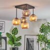 Ripoll Plafondlamp, Kogellampje Amber, Rookkleurig, 5-lichts