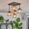 Ripoll Plafondlamp, Kogellampje Duidelijk, Rookkleurig, 5-lichts