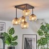 Ripoll Plafondlamp, Kogellampje Amber, Duidelijk, 5-lichts